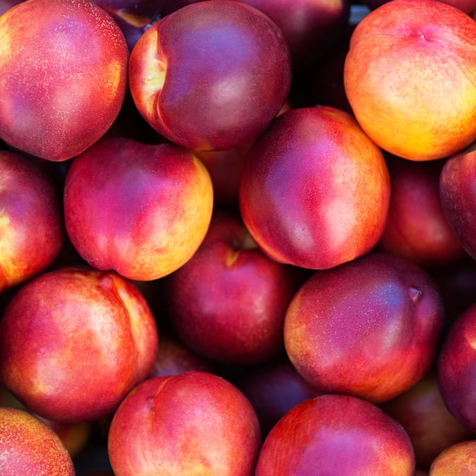 Nectarines